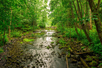 small forest river with river boulders in the taiga