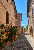 Fototapeta Na drzwi - street in the medieval village of spello, umbria, italy