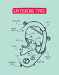 © esa - Ear piercing diagram. Top different types of ear piercing trendy positions