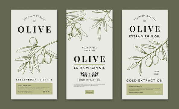 Wall Mural - Olive oil label, greek tree logo on emblem. Italian organic sketch art, vegetable diet food, plant harvest. Botanical engraving elements. Packaging design. Package vector illustration