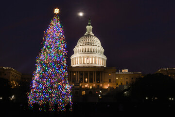 Poster - Capitol building and Christmas tree at night - Washington DC United States