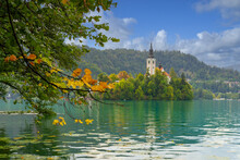 A View Of A Church On An Island On Lake Bled In Slovenia. Early Autumn, Afternoon.