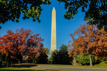 Wall Mural - Washington Monument and autumn foliage - Washington DC United States