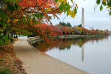 Washington Monument And Autumn Foliage - Washington DC United States
