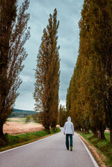 Young caucasian man in white hoodie and trousers walking on asphalt road in poplar alley with fog