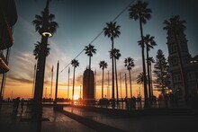 The Moseley Square With Silhouettes Of Palm Trees And Buildings During Sunset, Glenelg, Australia
