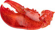 Red lobster claw isolated 