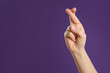 Woman holding fingers crossed on purple background, closeup with space for text. Good luck superstition