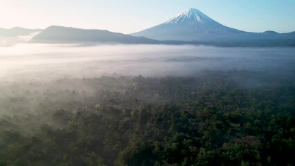 Wall Mural - 早朝の青木ヶ原樹海と富士山を空撮