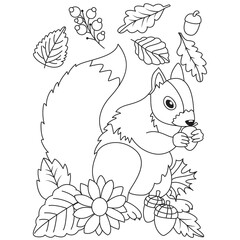 Cute squirrel eating acorns seeds flowers leaves Autumn Fall season coloring illustration pages