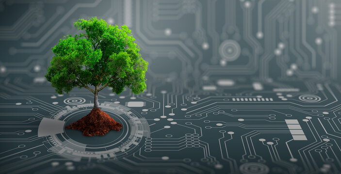 Wall Mural -  - Growing tree on the converging point of computer circuit board. Nature with Digital Convergence and Technological Convergence. Green Computing, Green Technology, Green IT, csr, and IT ethics Concept.