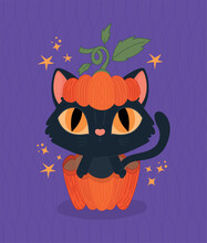 Halloween Cat On A Pumpkin