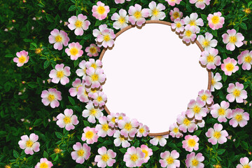 Wall Mural - Round frame with decoration from natural rosehip flowers