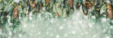 Winter Christmas Tree Branches With Cones In Blurred Defocused Snow With Lights Border. Copy Space. Wide Banner. Selective Focus