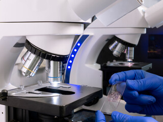 Canvas Print - The hands of a scientist hold a sample on a glass slide next to a microscope in a laboratory. Medical equipment for microscopy in clinical research.