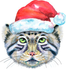 Watercolor portrait of a Manul Cat in Santa hat