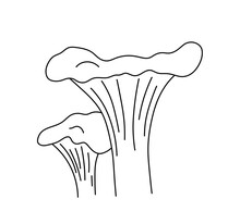 Vector Isolated Two Chanterelle Mushrooms Big And Little Colorless Black And White Contour Line Easy Drawing