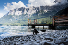 Duck Having A Drink In Eibsee Lake With Mountain Backdrop