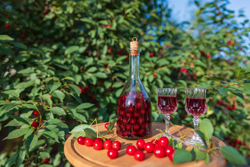 Wall Mural - Homemade cherry brandy in two glasses and in a glass bottle on a wooden table in a summer garden