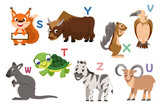 Fototapeta Pokój dzieciecy - English alphabet with flat cute animals for kids education. Letters with funny animal and bird characters from S to Z. Children design set for learning to spell with cartoon zoo collection.