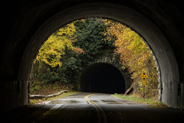 Wall Mural - The Space Between The Tunnels In Fall