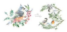 Watercolor Squirrel,bird On Fir Tree Branch Christmas Illustration.Woodland Winter Forest Nursery Decoration For Greeting Card, Poster, Invitation, Baby Shower Merry Christmas,New Year Print, Sticker	