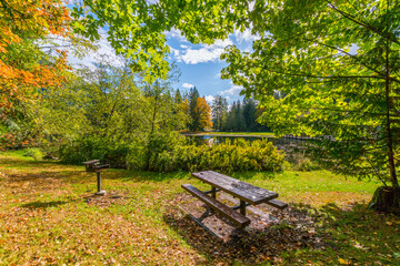 Wall Mural - great campsites with picnic tables and fire pits. fall colors in silver lake campground, fall time, 
