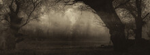  Creepy Dark Landscape Showing Forest Beside River In Autumn Mist In Sepia Tones