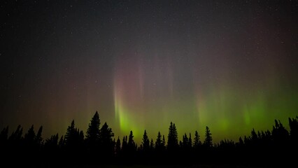 Wall Mural - brilliant aurora flashing on the horizon with fast moving stars rotating around the north star. silh