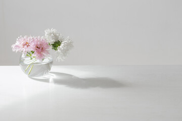 Wall Mural - asters in round glass vase on white background