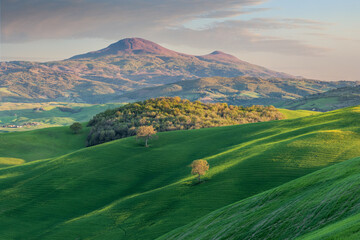 Wall Mural - Landscape of the Val d'Orcia countryside with picturesque green fields, yellow flowers and Mount Amiata in the background, Tuscany, Italy