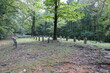 Confederate Cemetery, behind iron gate