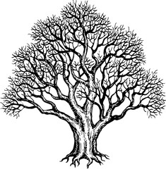 Wall Mural - withered old yew tree.
