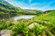 Tatra National Park in Poland. Tatra mountains panorama, Poland colorful flowers and cottages in Gasienicowa valley (Hala Gasienicowa), Zielony Staw Gąsienicowy