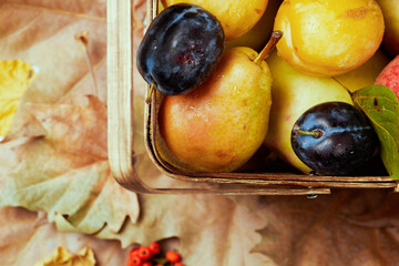 Wall Mural - autumn background with apples, pears, plums, leaves and basket