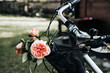 Kwiaty polne w koszyku rowerowym na dzień nauczyciela, na imieniny cioci, na dzień mamy, dla mamy, dla cioci, dla babci, róże ogrodowe - skromny bukiet