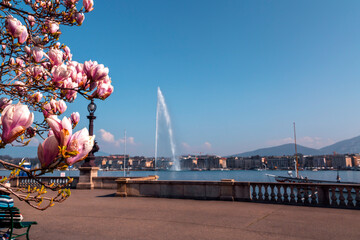 Scenic view from the Geneva Lake at the Bay of Geneva, Switzerland