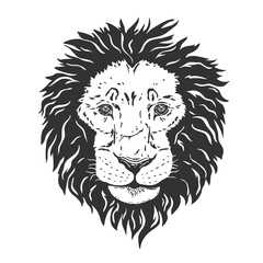 Wall Mural - Black lion's head. PNG illustration.