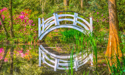 Floral and bridge reflections on South Carolina pond