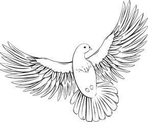 Wall Mural - Flying dove. PNG.