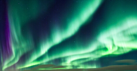 Wall Mural - northern lights. aurora borealis with starry in the night sky. gaming rpg background and texture. ga