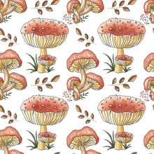 Seamless Pattern Orange Mushrooms On A White Background.To Create Digital Paper.