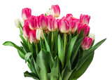 Fototapeta Tulipany - Bouquet of tulips isolated on white background with clipping path
