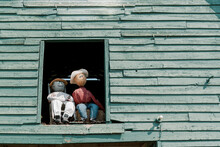 Two Fall Scarecrows Sit On Chairs In The Opening Of A Green Barn