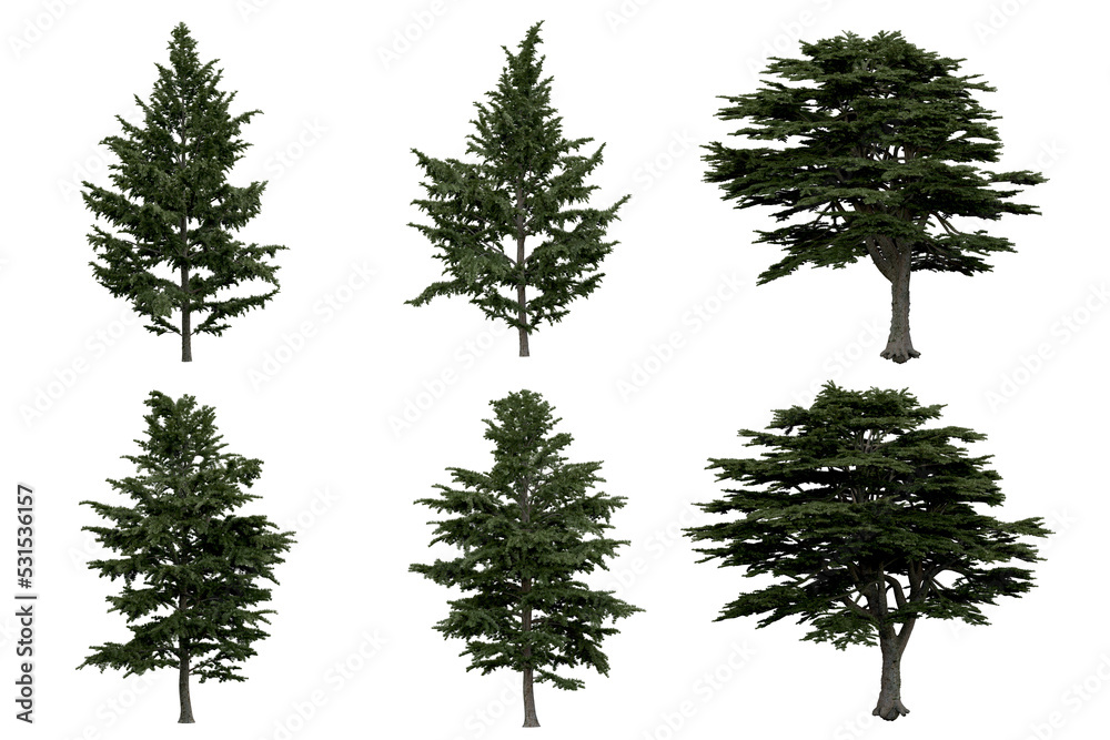 3d rendering of Cedrus Libani PNG vegetation tree for compositing or ...