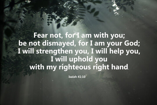 Wall Mural -  - Bible verse - Fear not, for I am with you, be not dismayed, for I am your God. I will strengthen you, i will help you, I will uphold you with my righteous right hand. Isaiah 41:10 On rays in the wood.