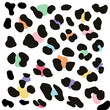 Colorful Leopard Print