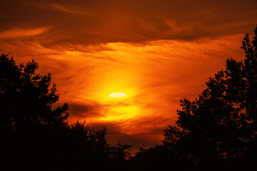 Wall Mural - Beautiful sunset sky with clouds