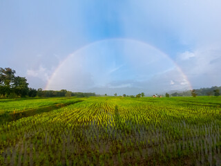  rainbow over fields during rain