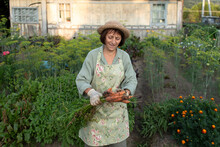 Happy Senior Woman With Freshly Picked Carrots Standing In Garden